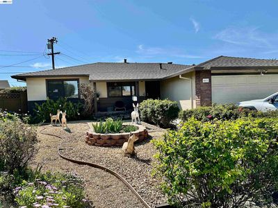 5671 Coral Ct, Fremont, CA, 94538