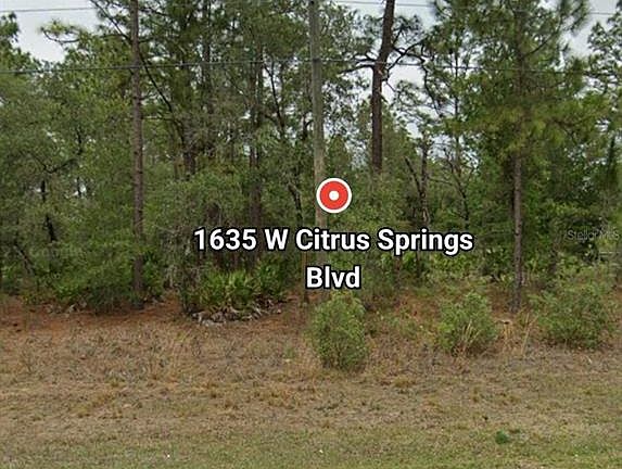 2nd image of 1635 W CITRUS SPRINGS BOULEVARD LOT 15
