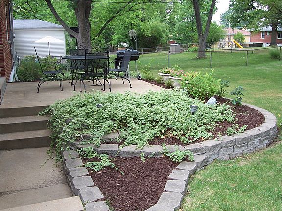 Large BackYard with Beautiful Landscaping
