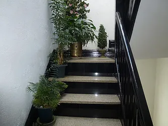 Rented by Dorsa Group