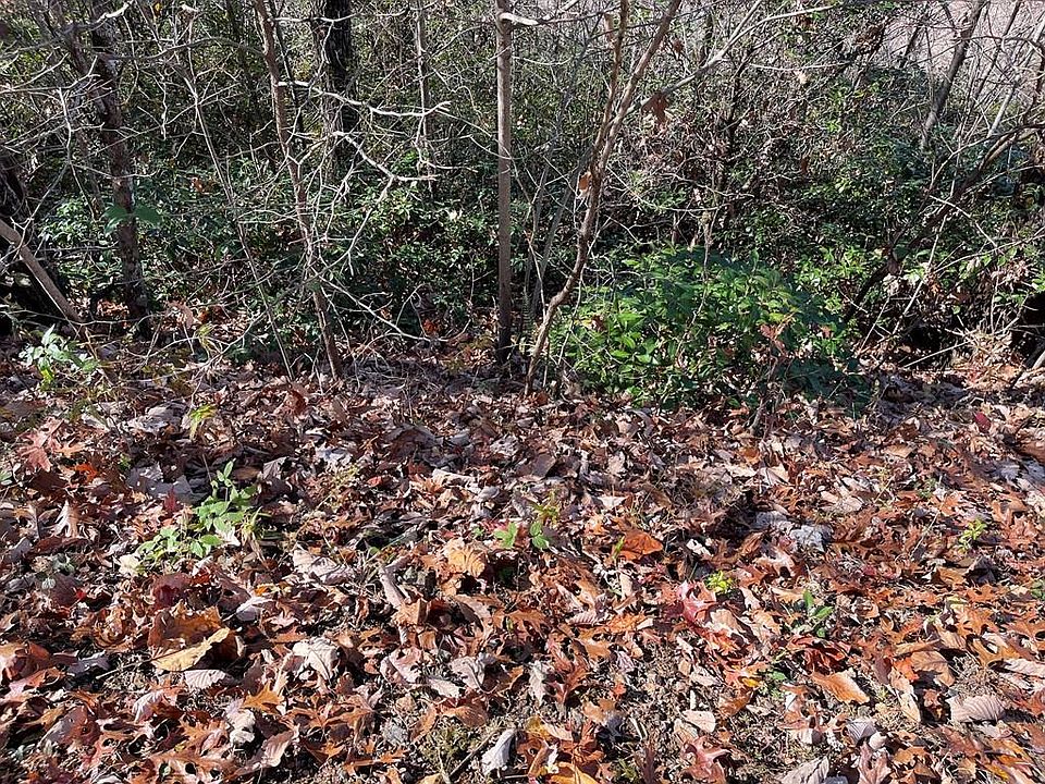 2nd image of LOT-31J Ashe Branch Dr