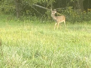 1731 Hazelnut Rd, Christiansburg, VA 24073