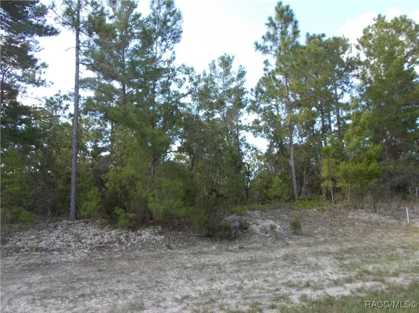 4848 W Pine Ridge Blvd, Beverly Hills, FL 34465