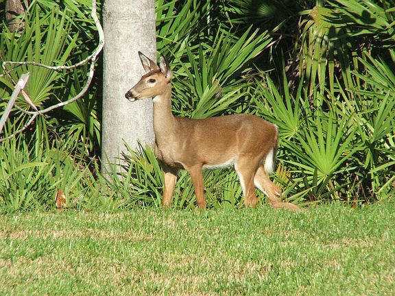 one of the "neighbors"