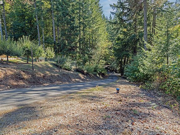 5th image of Alder Branch Rd #216