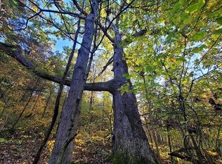 0 Whitson Rd, Sadieville, KY 40370