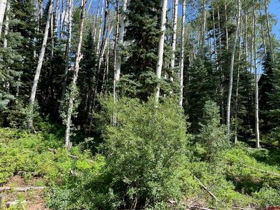 158 Engineer Drive, Durango, CO, 81301