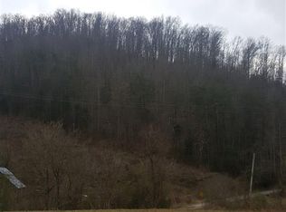 4889 Jones Cove Rd, Cosby, TN 37722