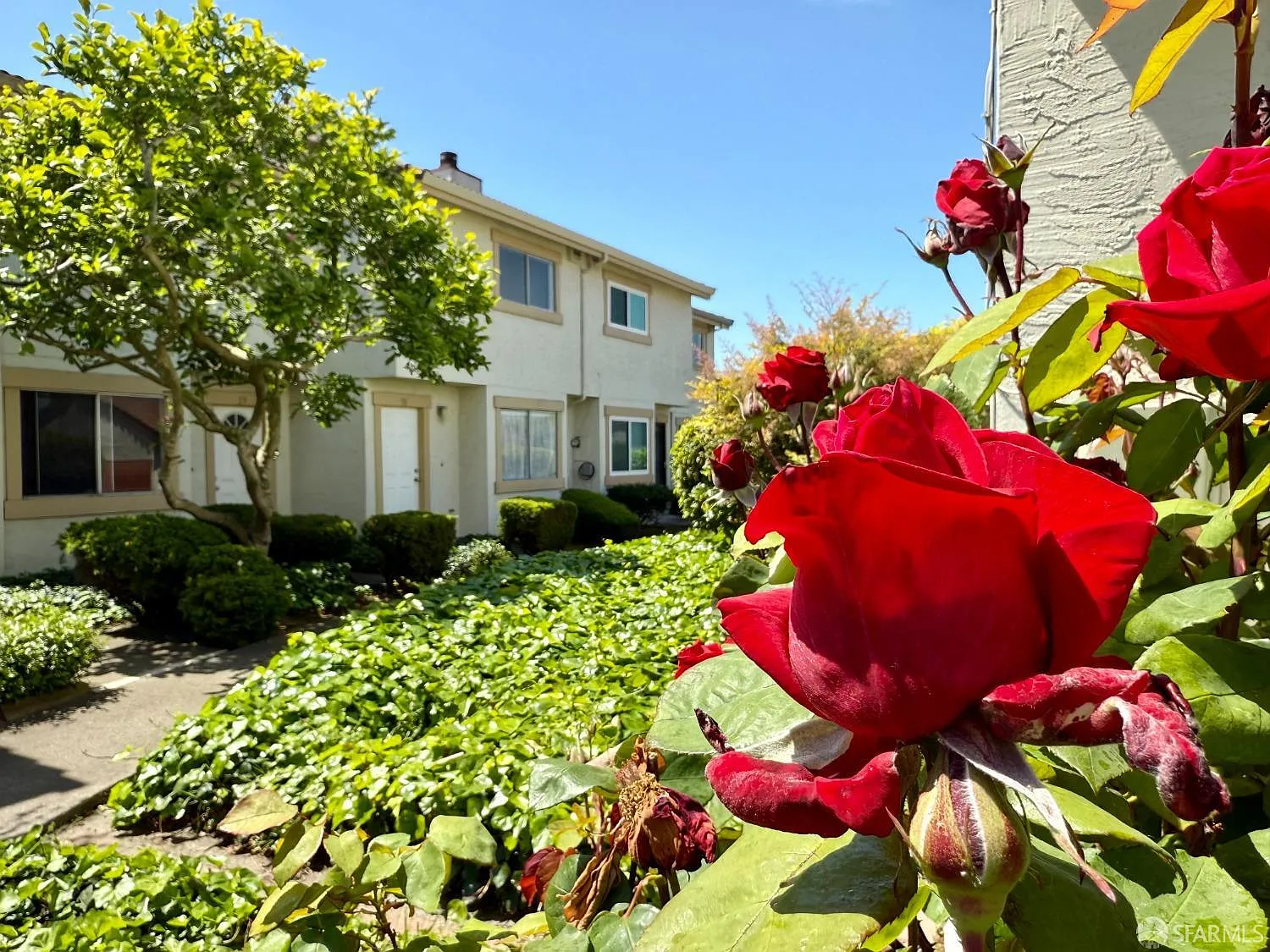 30 Sheffield Ct photo 1