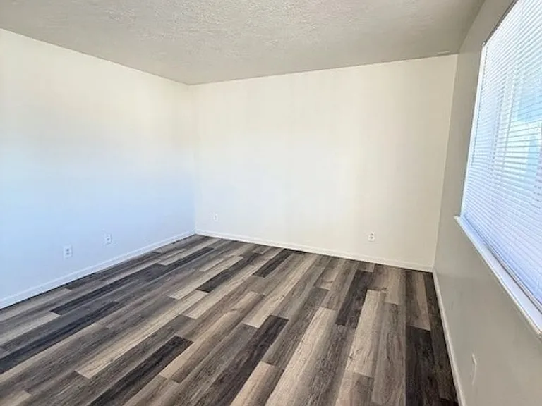 384 Madrona St — Photo 7