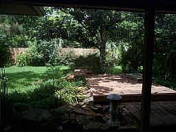 Back yard