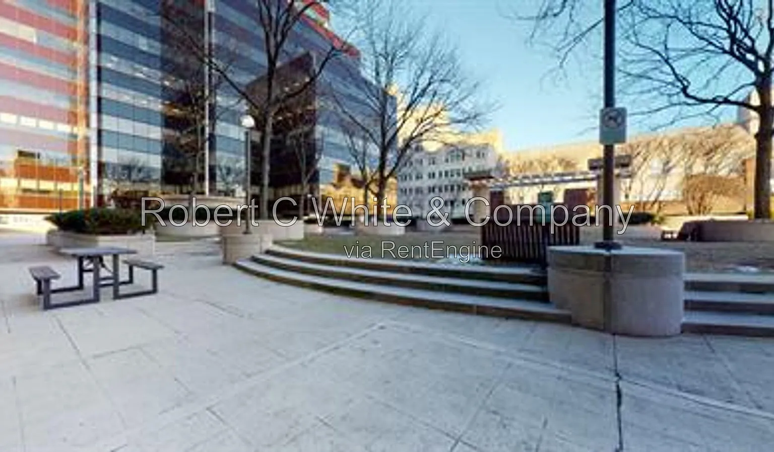 1 bed, 1.0 bath, 591 sqft, $2,340 — Photo 2