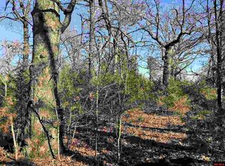 20 County Road 603, Mountain Home, AR 72653