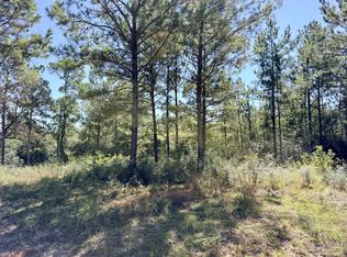 Nhn Gray Fox Rd, Carriere, MS 39426