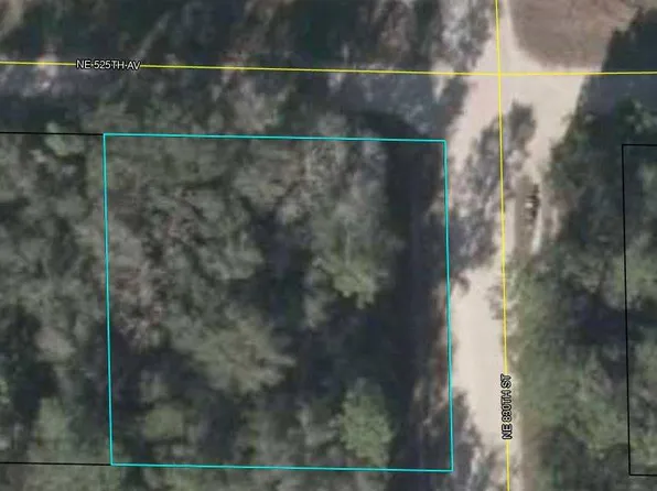 NE 808th St, Old Town, FL 32680