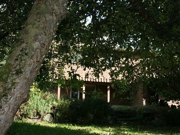 Nice, Nice, Nice! Private places in the yard for shady afternoon picnics. Or tree climbing for the y