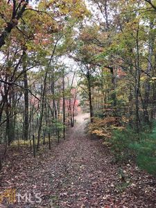 771 Ethan Wilson Way, Morganton, GA, 30560