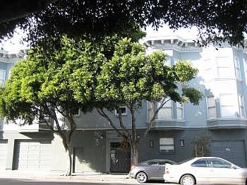1st image of 1000 Oak St APT 8