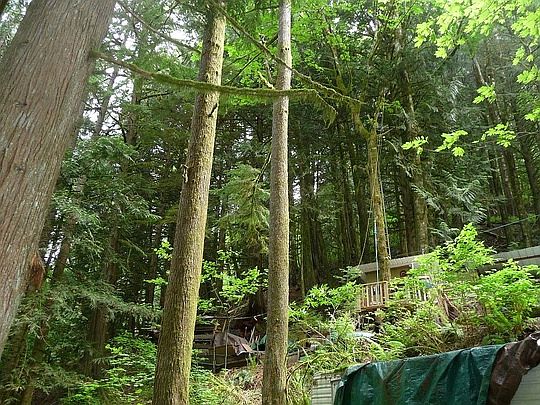 2nd image of 4323 Salish Trl