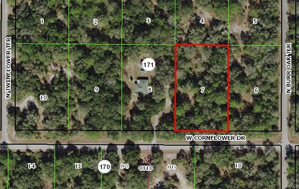 1st image of 12675 W Cornflower Dr
