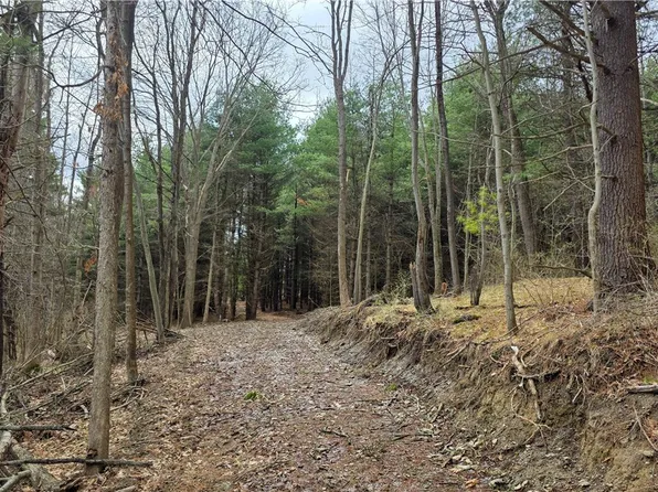 1 Bannister Rd Lot 9, Horseheads, NY 14845
