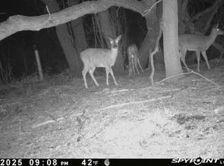 Blackhawk Rd, Portage, WI 53901