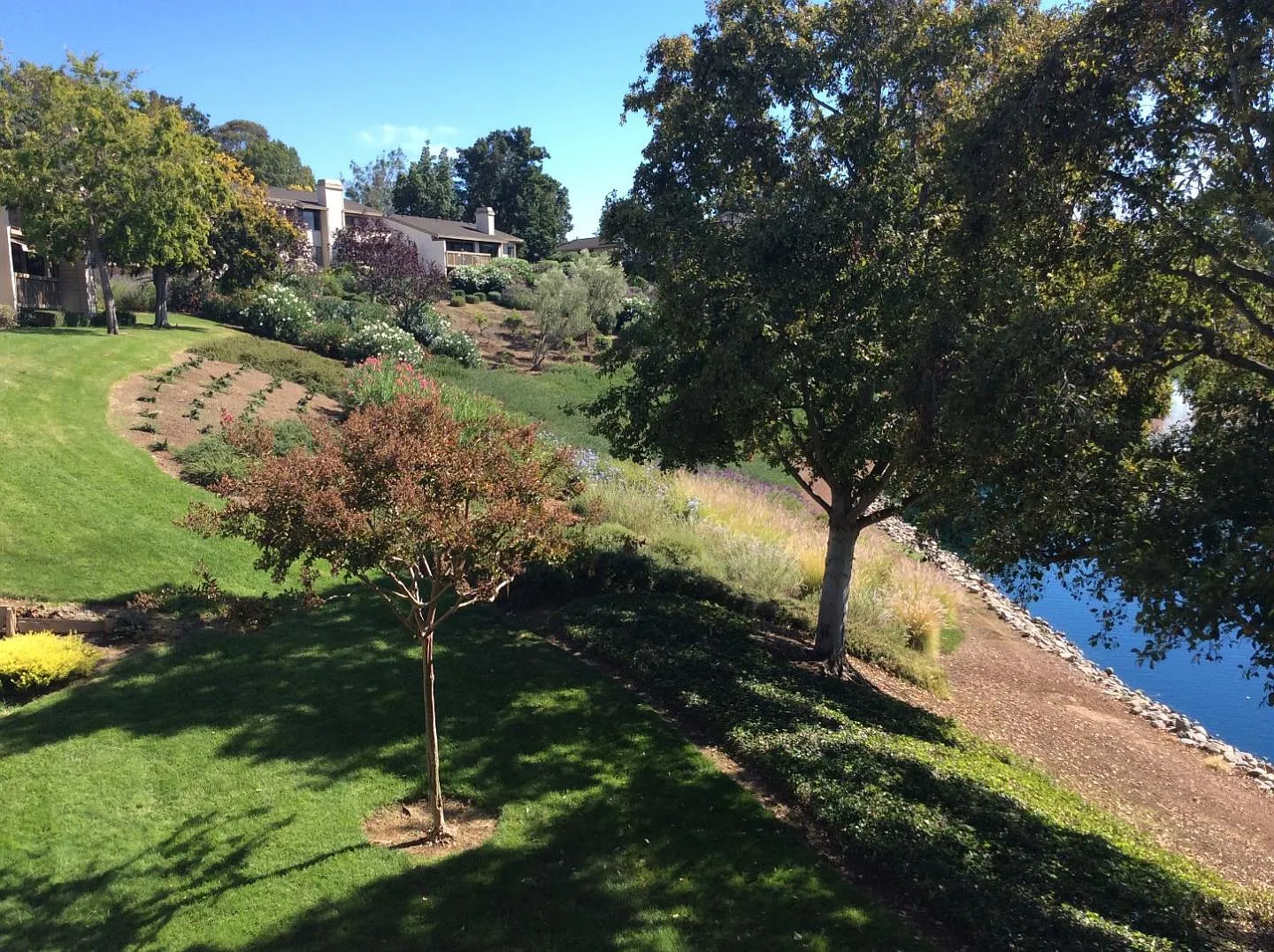 7318 Via Laguna photo 1