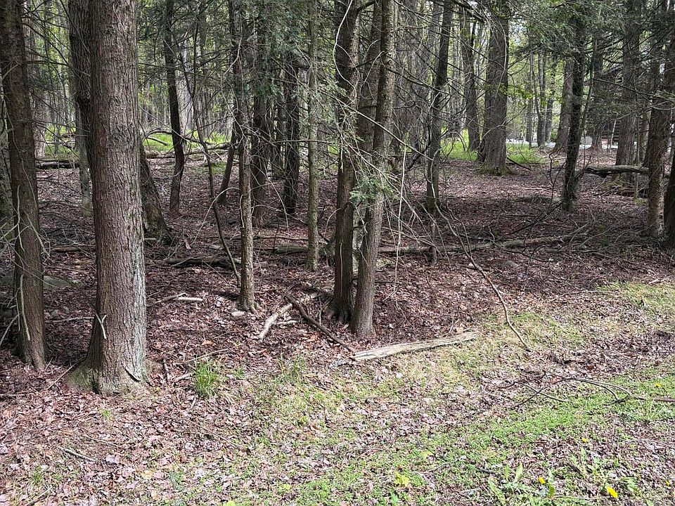 2nd image of 60 Arrowhead Cir