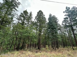 2076 Buttermilk Ln #10171052, Alpine, AZ 85920