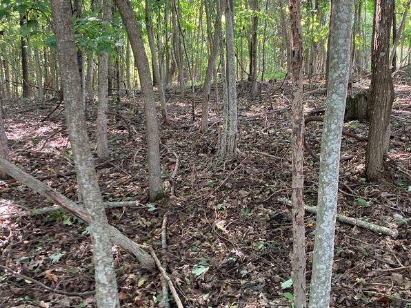 LOT Ten #A, Lebanon, VA 24266