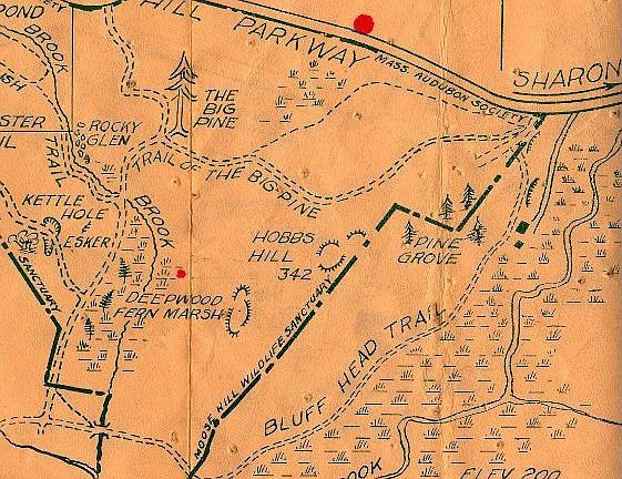 5th image of 125 Moose Hill Pkwy