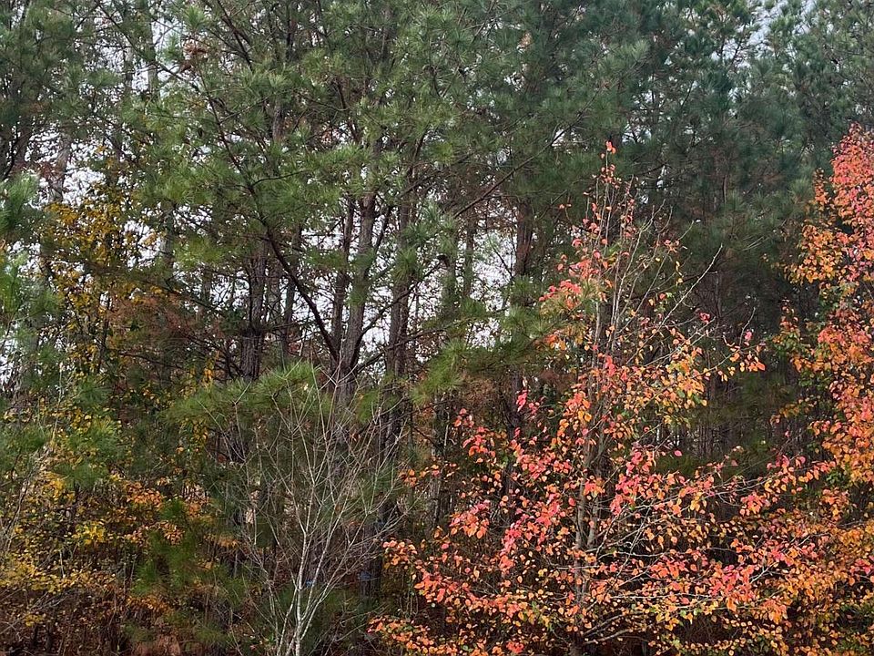 2nd image of 1075 Falkirk Ln