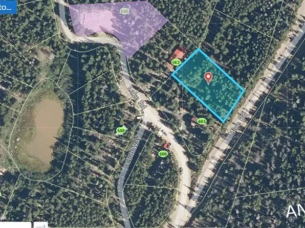 Lot 42 Mine, Idaho Springs, CO 80452