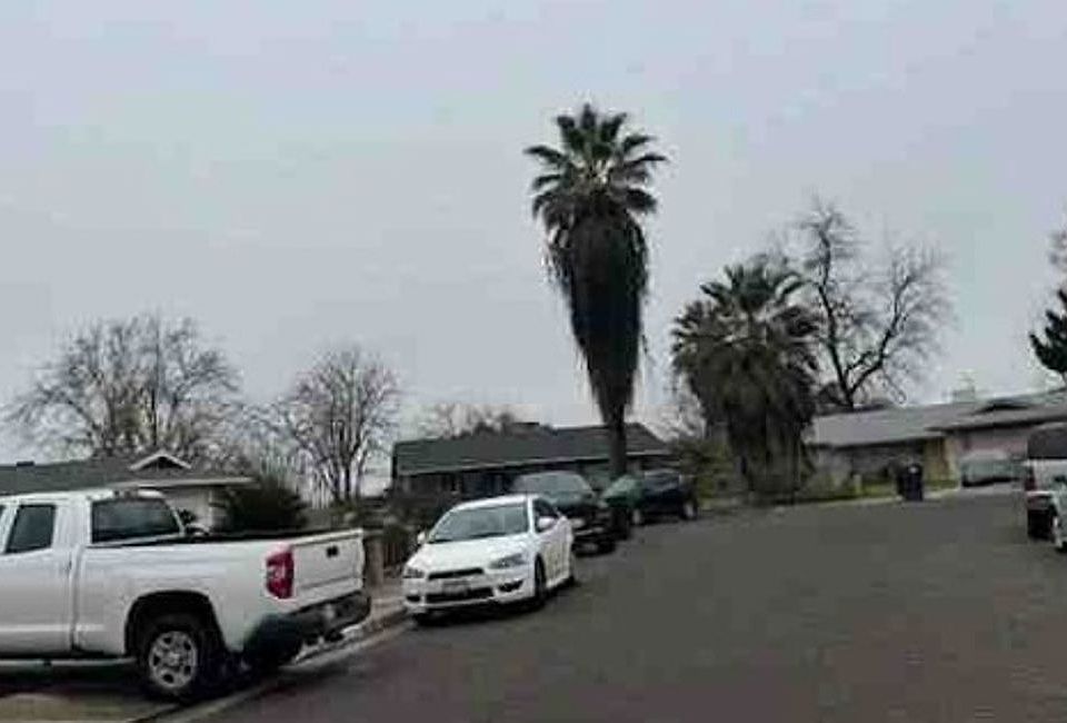 Exterior Neighborhood (street photo)