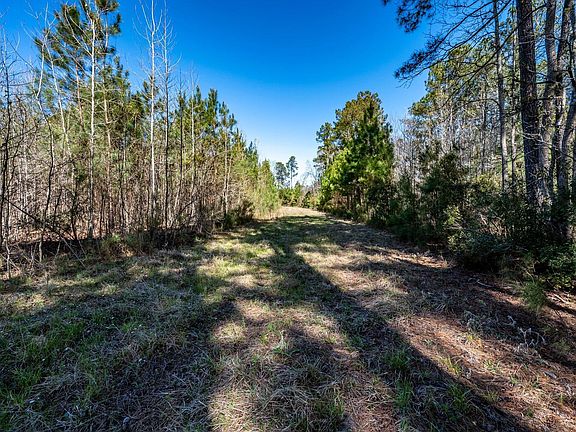 4th image of S Fifteen 48 Buckhead Rd