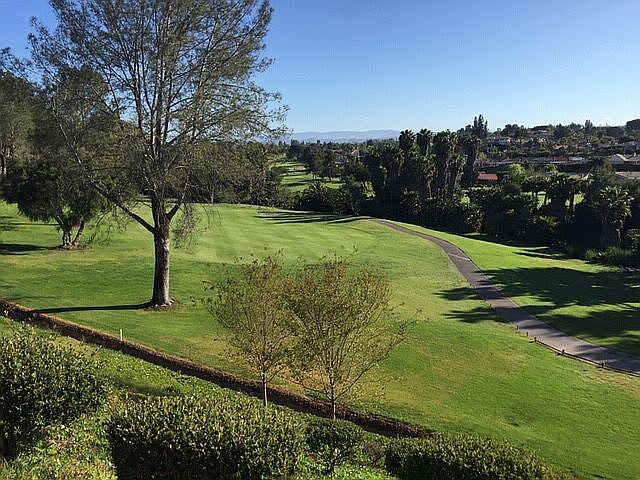 Patio View