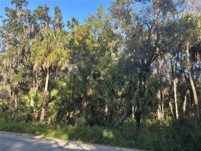 Treasure Island Ave, Leesburg, FL, 34788