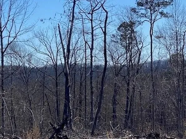 17 River Rd, Decatur, TN 37322