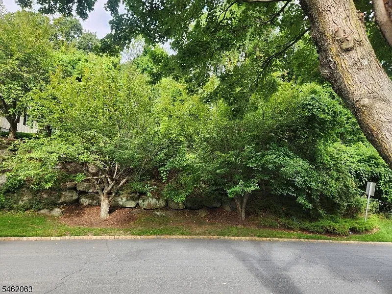 1 bed, 1.0 bath, $2,900 — Photo 2