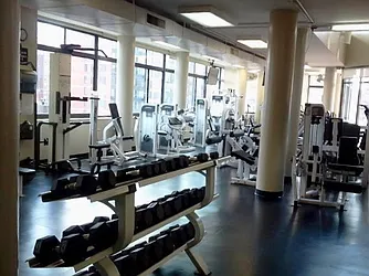 Sold by IB Global LLC