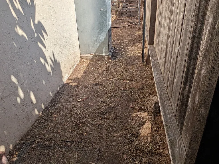 private yard area for pets