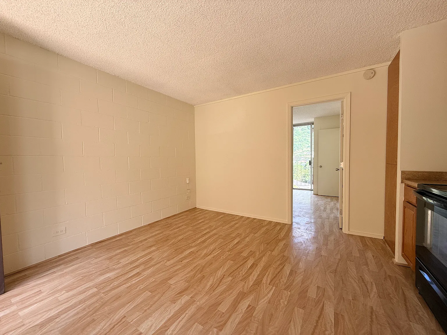 1 bed, 406 sqft, $1,750 — Photo 3