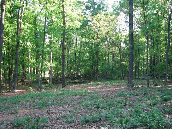 40 Curry Rd, Mount Solon, VA 22843