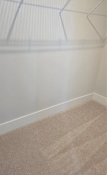 10123 Blue Wing Ln — Photo 15