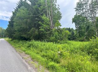 0 Sisson Hill Rd LOT 4, Unadilla, NY 13849