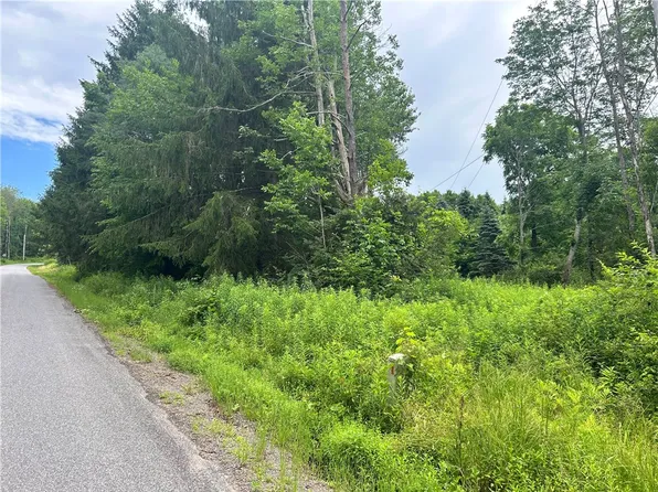 LOT 4 Sisson Hill Rd Lot 4, Unadilla, NY 13849