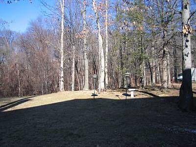 View of Back Yard