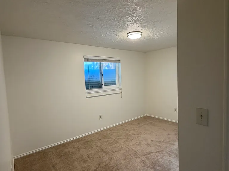 10680 S Carrington St — Photo 31
