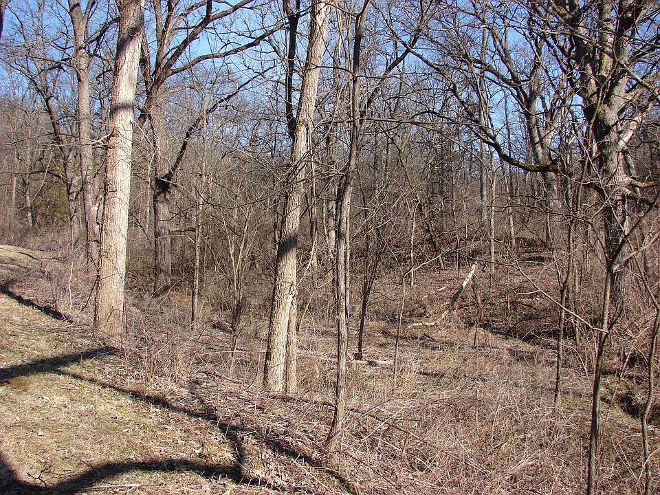 2nd image of 555/ACRE S Hunter Hollow Rd