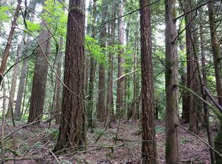 0 E Lolo Pass, Rhododendron, OR 97049